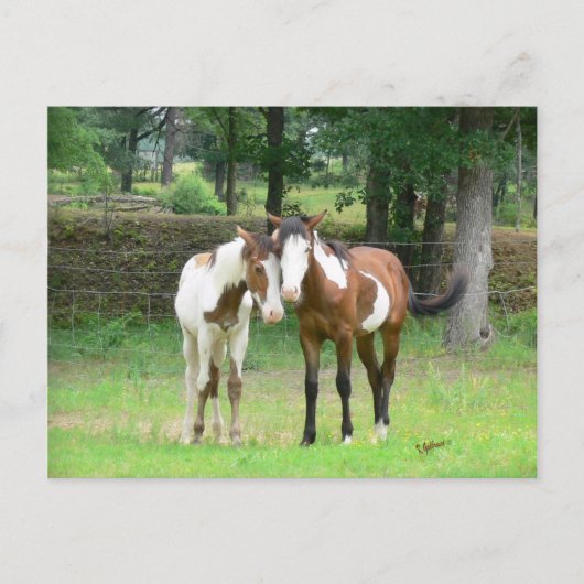 友達へのポストカード ポストカード (正面)