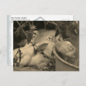 友達最高のだろ？- ポストカード (正面/裏面)