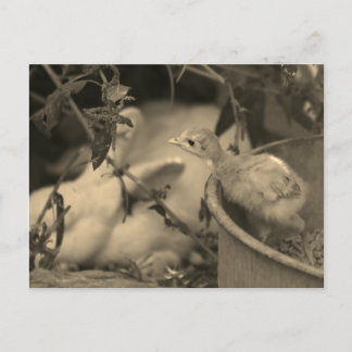 友達最高のだろ？- ポストカード