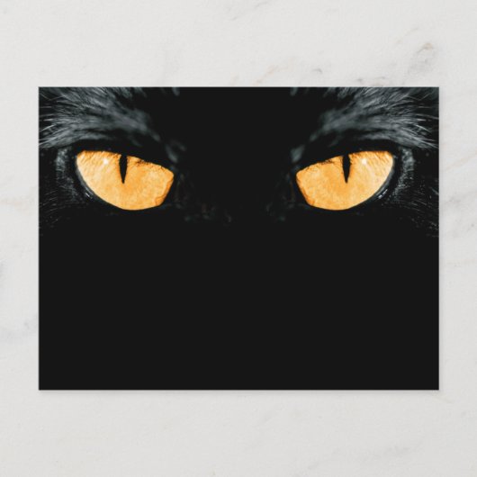 友達 ポストカード (正面)