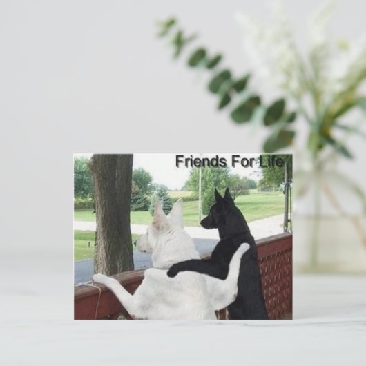 友達 ポストカード (スタンド正面)