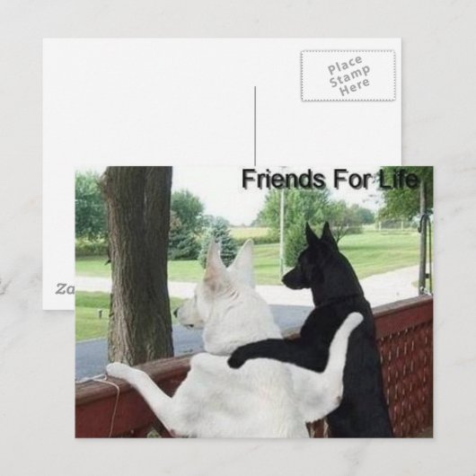 友達 ポストカード (正面/裏面)