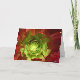 友Vangsgardによる赤いおよび緑のSucculent カード