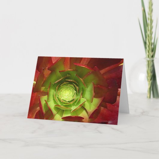 友Vangsgardによる赤いおよび緑のSucculent カード (正面)