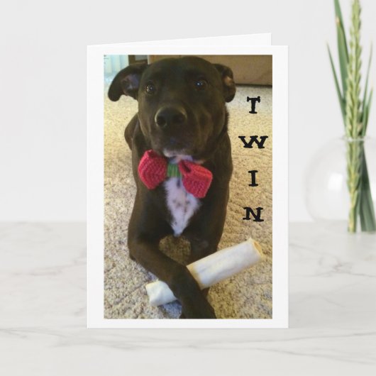 双子が言いたいハッピーバースデーと楽しむ! カード (正面)