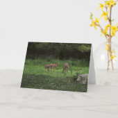 双子とそのママ カード (黄色い花)