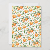 双子のための水色オレンジ色ベビーシャワー招待状 招待状 (裏面)