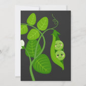 双子のジェンダーがさやの招待状 招待状 (裏面)