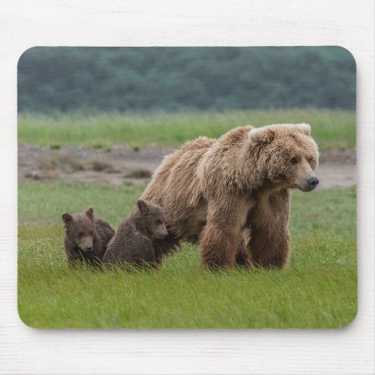 双子の子グマと母グリズリー マウスパッド (正面)
