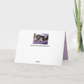 双子の子猫のグリーティングカード カード (裏面)