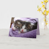 双子の子猫のグリーティングカード カード (黄色い花)