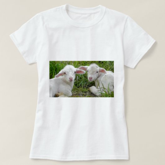 双子の子羊のバースデーギフト Tシャツ (デザイン正面)