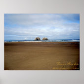 双子の岩 ポスター (正面)