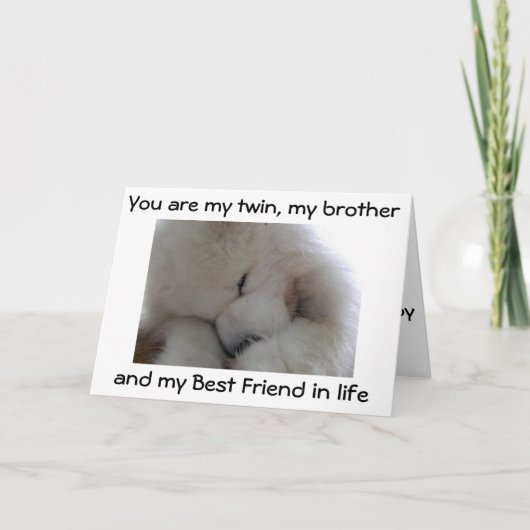 双子の最高の弟の誕生日 カード (正面)