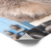 双子の虎猫 ポスター (角)