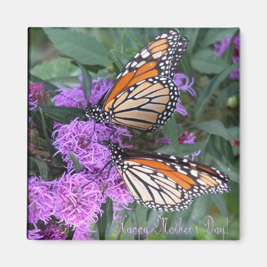 双子の蝶/ハッピーマザーの日 マグネット (正面)