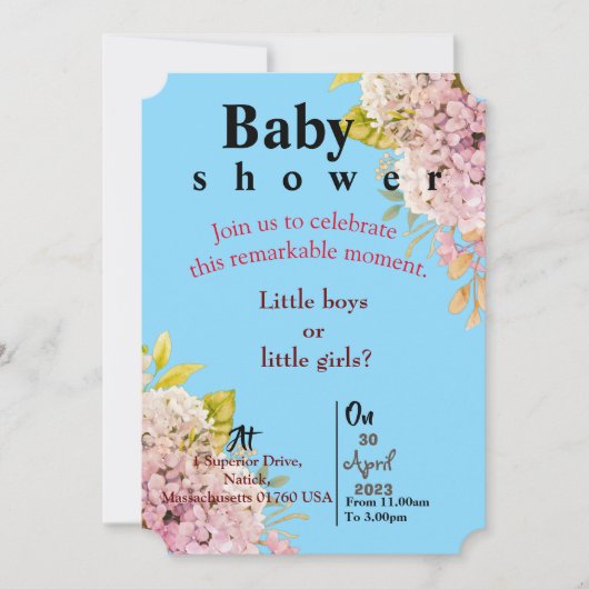 双子の赤ちゃんの青いお知らせ 招待状 (正面)