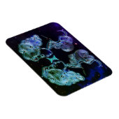 双子双子座〔占星術の〕十二宮図磁石 マグネット (右側)