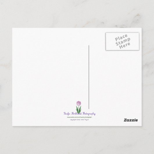 双子姉妹 ポストカード (裏面)