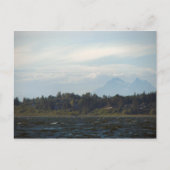 双子姉妹 ポストカード (正面)