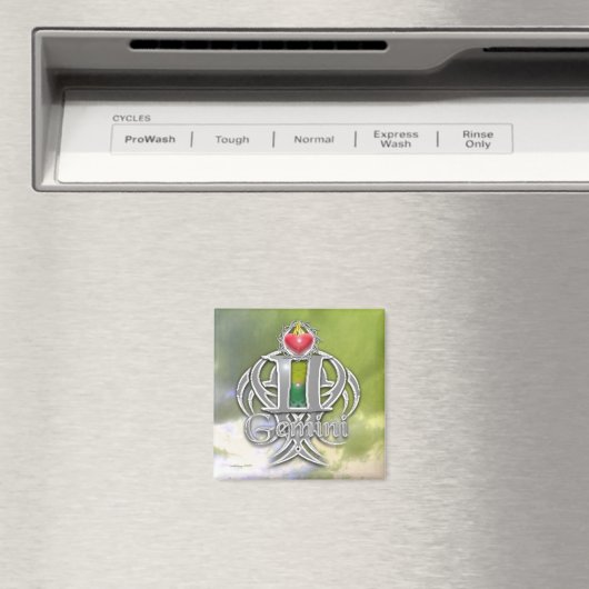 双子座 マグネット (インサイチュ (食洗機))