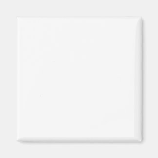 双子44 マグネット