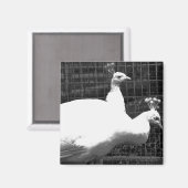 双子8x8 マグネット (正面/裏面)