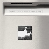 双子8x8 マグネット (インサイチュ (食洗機))