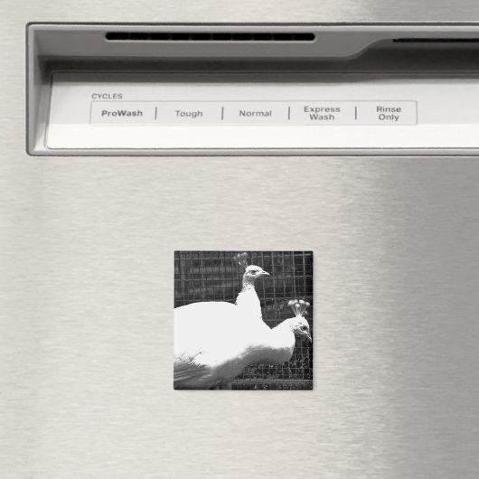 双子8x8 マグネット (インサイチュ (食洗機))