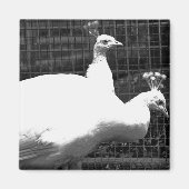 双子8x8 マグネット (正面)