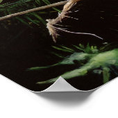 双子 ポスター (角)