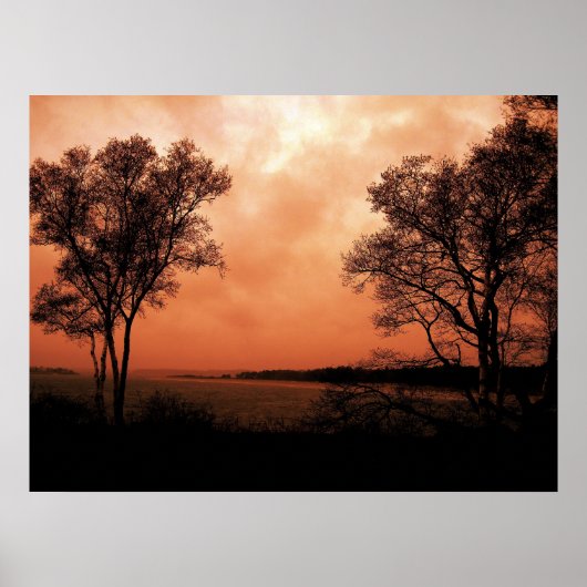 双子 ポスター (正面)