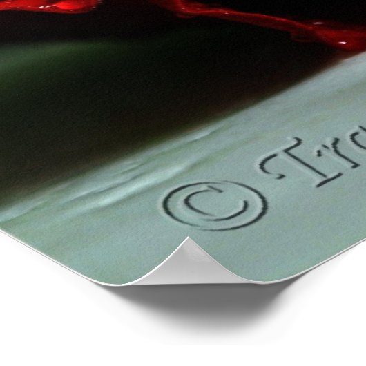 双子 ポスター (角)