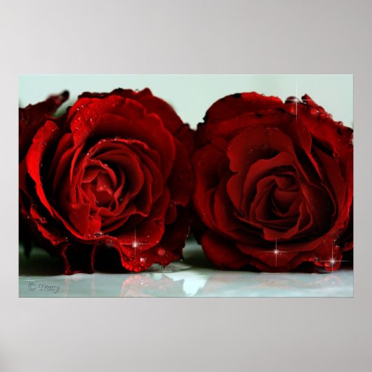 双子 ポスター (正面)