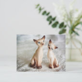 双子 ポストカード (スタンド正面)