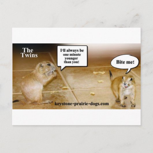 双子 ポストカード (正面)