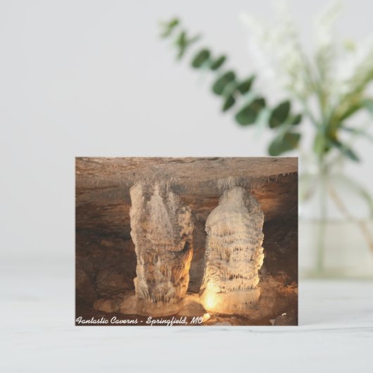 双子 ポストカード (スタンド正面)