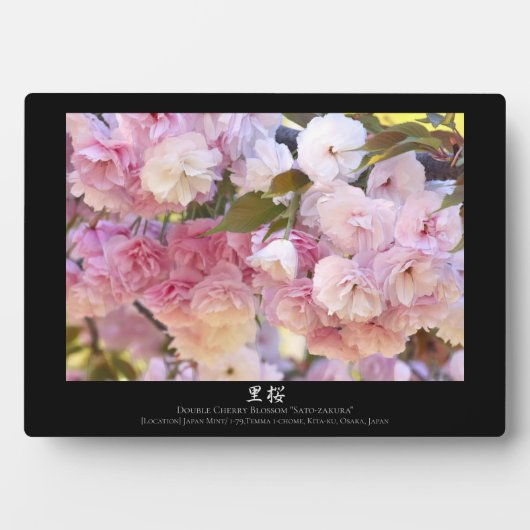 双桜: 里桜 フォトプラーク (正面)