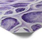 双極ニューロン ポスター (角)