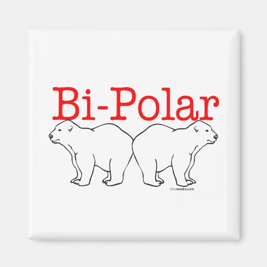 双極 マグネット (正面)