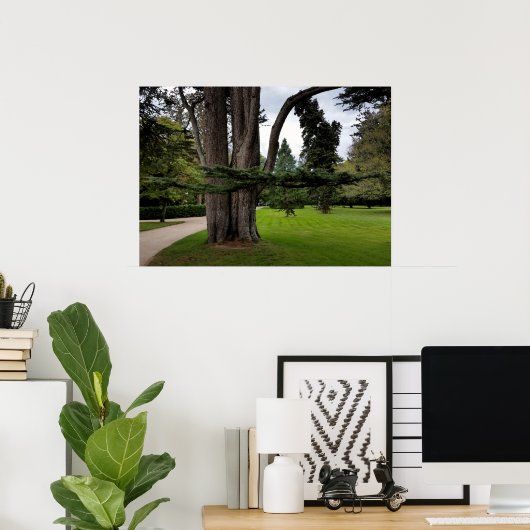 双樹 ポスター (ホームオフィス)