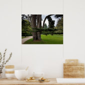 双樹 ポスター (キッチン)