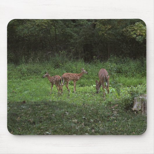 双生児および彼らのママ マウスパッド (正面)