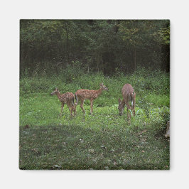 双生児および彼らのママ マグネット