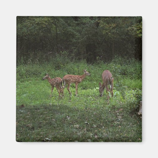 双生児および彼らのママ マグネット (正面)