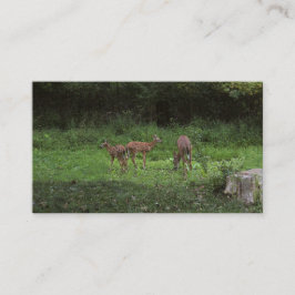 双生児および彼らのママ 名刺