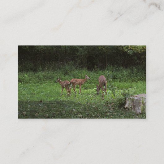 双生児および彼らのママ 名刺 (正面)