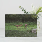 双生児および彼らのママ 招待状 (スタンド正面)