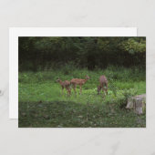 双生児および彼らのママ 招待状 (正面/裏面)