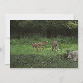 双生児および彼らのママ 招待状